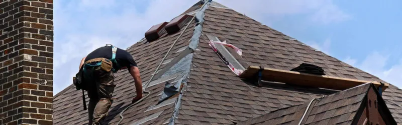 Roofer